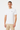 CAMISETA LOGO LACOSTE BLANCA