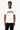 CAMISETA LACOSTE COTTON