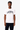 CAMISETA LACOSTE COTTON